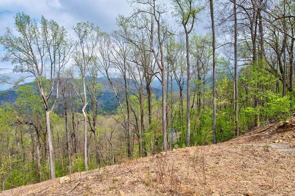 7.45 Acres of Residential Land for Sale in Ellijay, Georgia