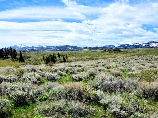 16.6 Acres of Recreational Land for Sale in Montpelier, Idaho