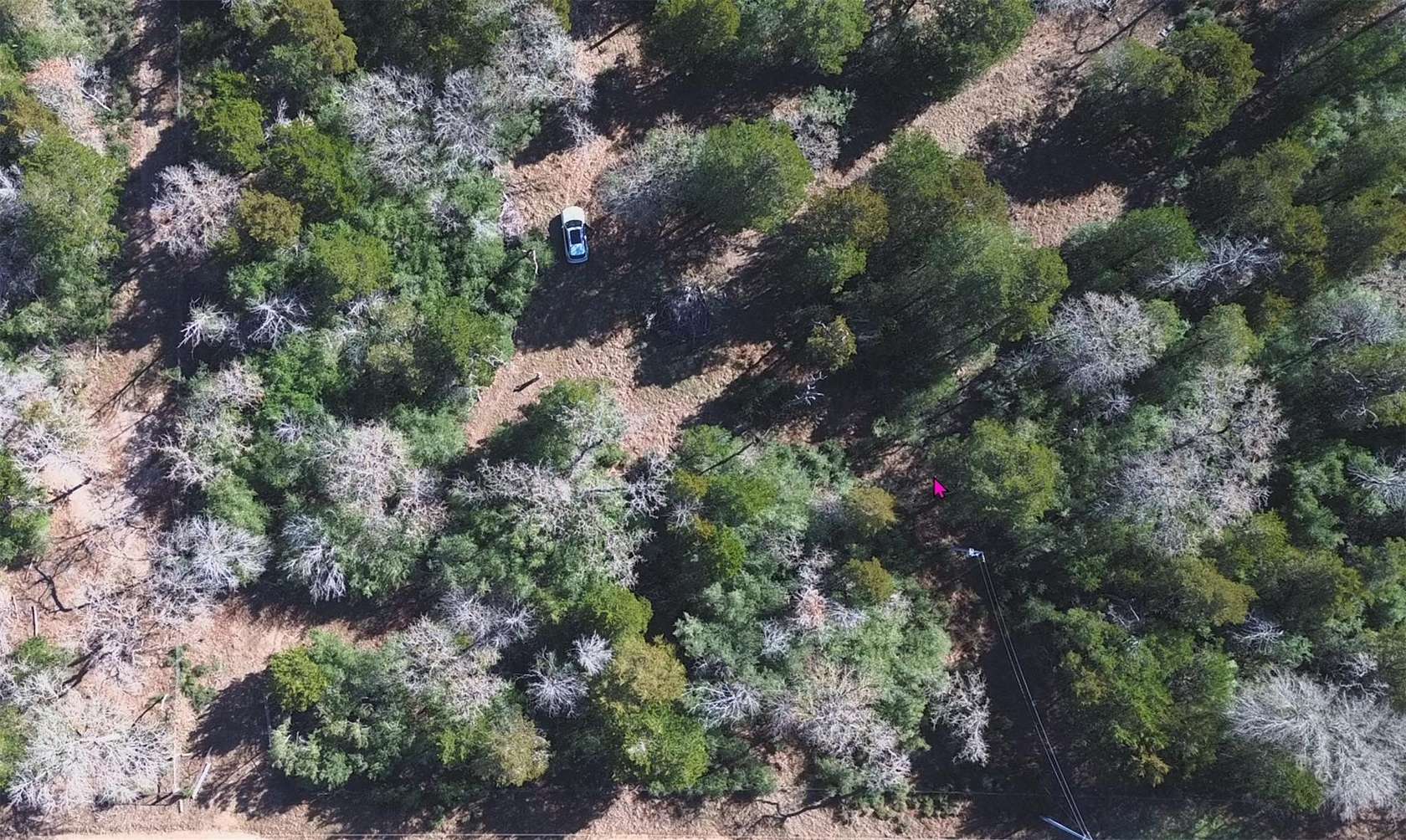 10 Acres of Land for Sale in Red Rock, Texas