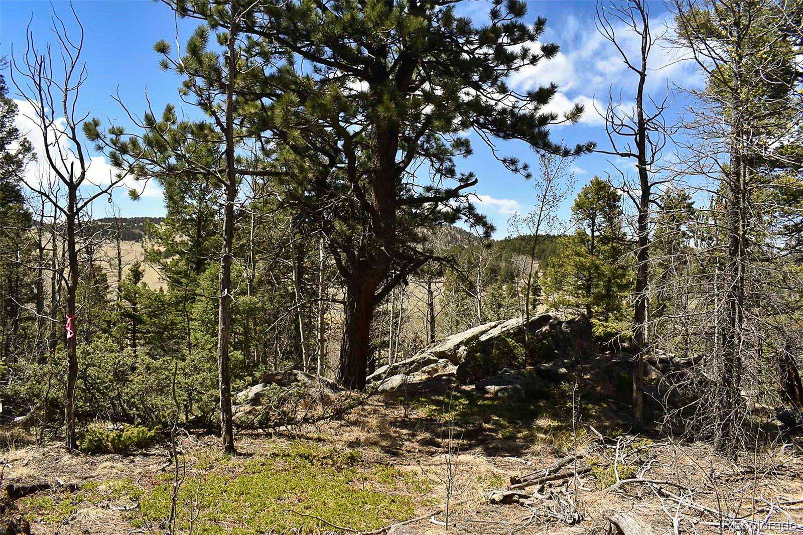 2 Acres of Residential Land for Sale in Guffey, Colorado