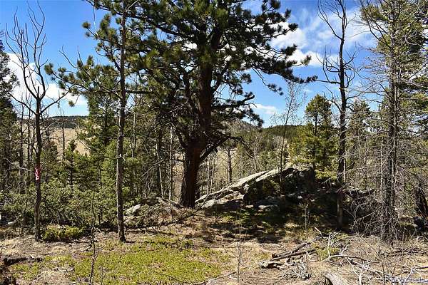2 Acres of Residential Land for Sale in Guffey, Colorado
