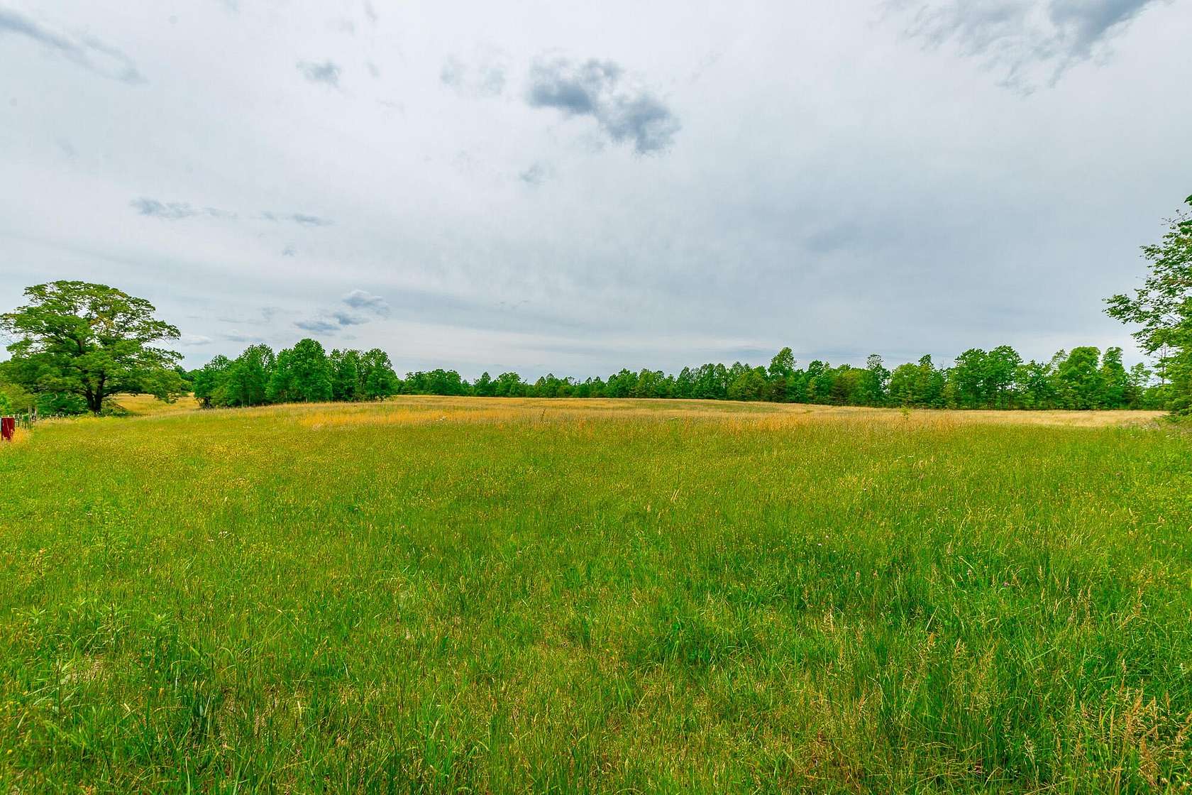 44.7 Acres of Land for Sale in Graysville, Tennessee