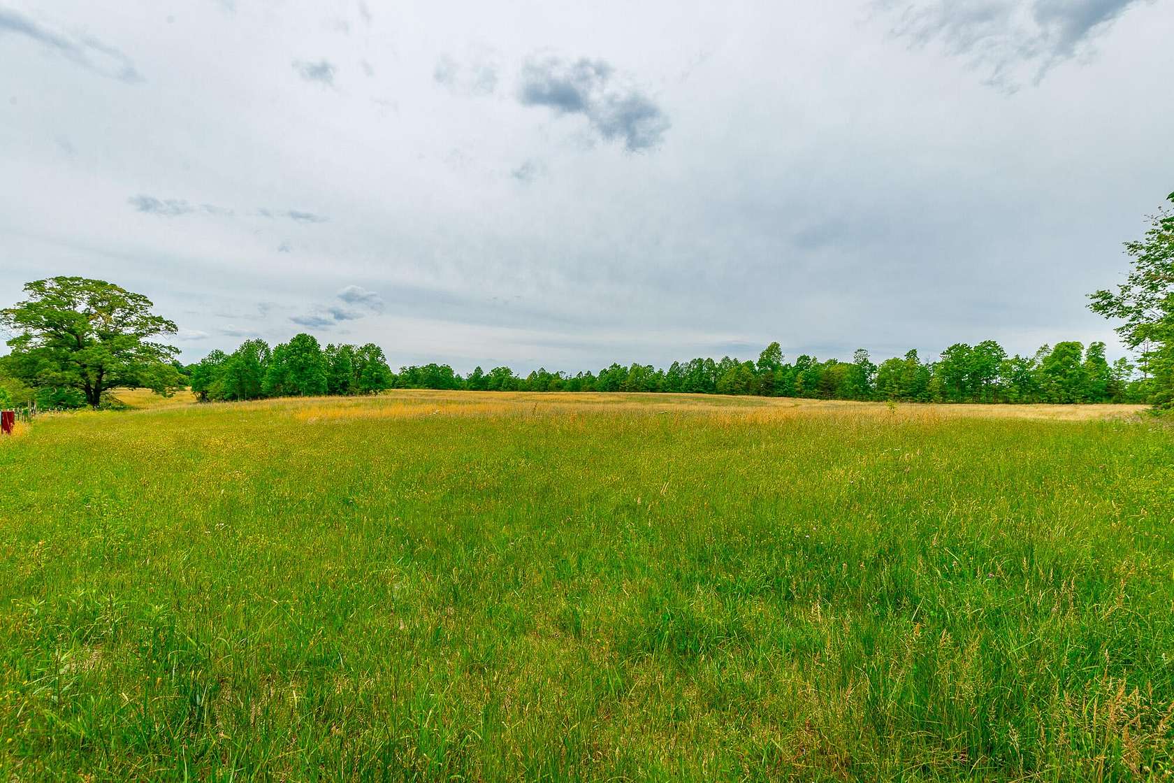 44.7 Acres of Land for Sale in Graysville, Tennessee