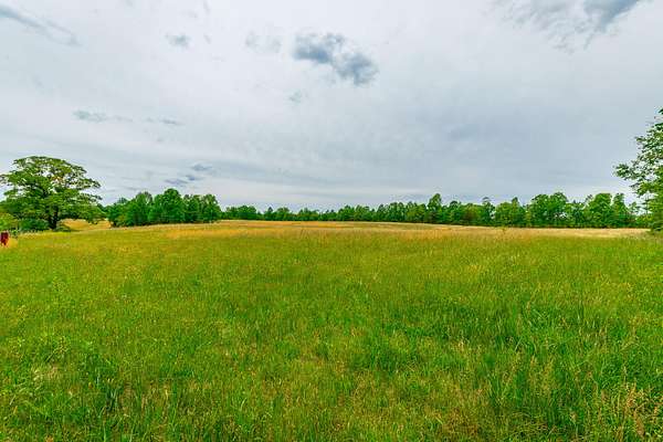 44.7 Acres of Land for Sale in Graysville, Tennessee