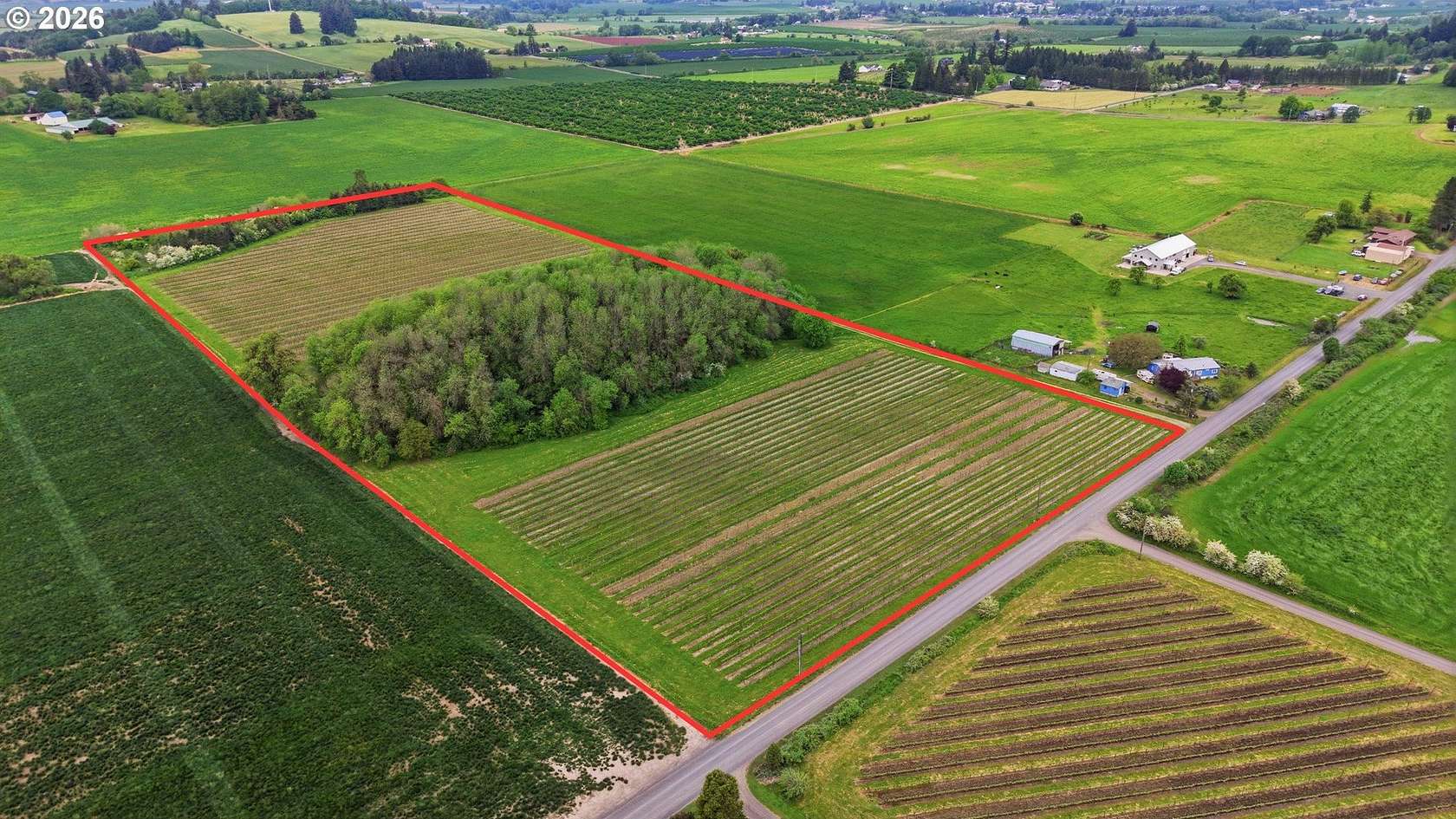 19.7 Acres of Land for Sale in Carlton, Oregon