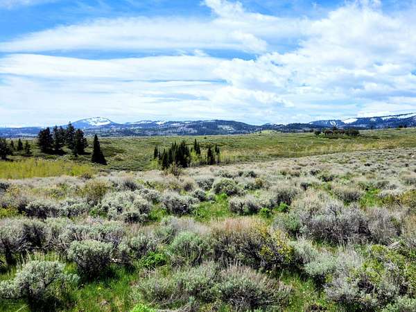 40 Acres of Land for Sale in Montpelier, Idaho
