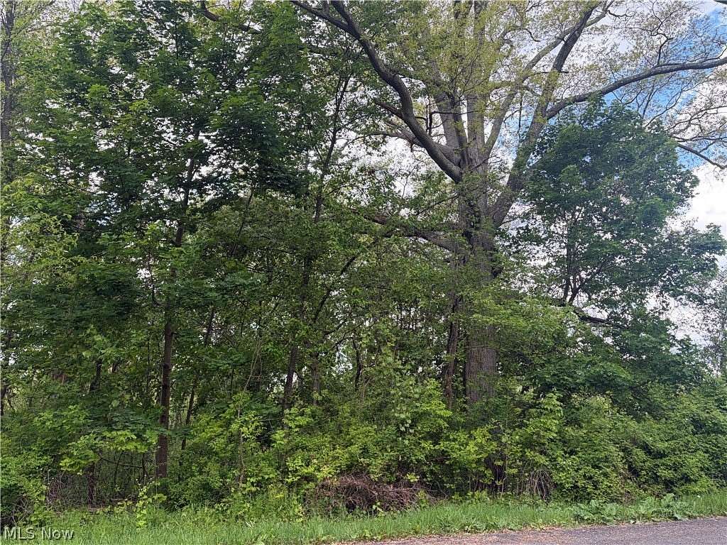 0.71 Acres of Land for Sale in Akron, Ohio