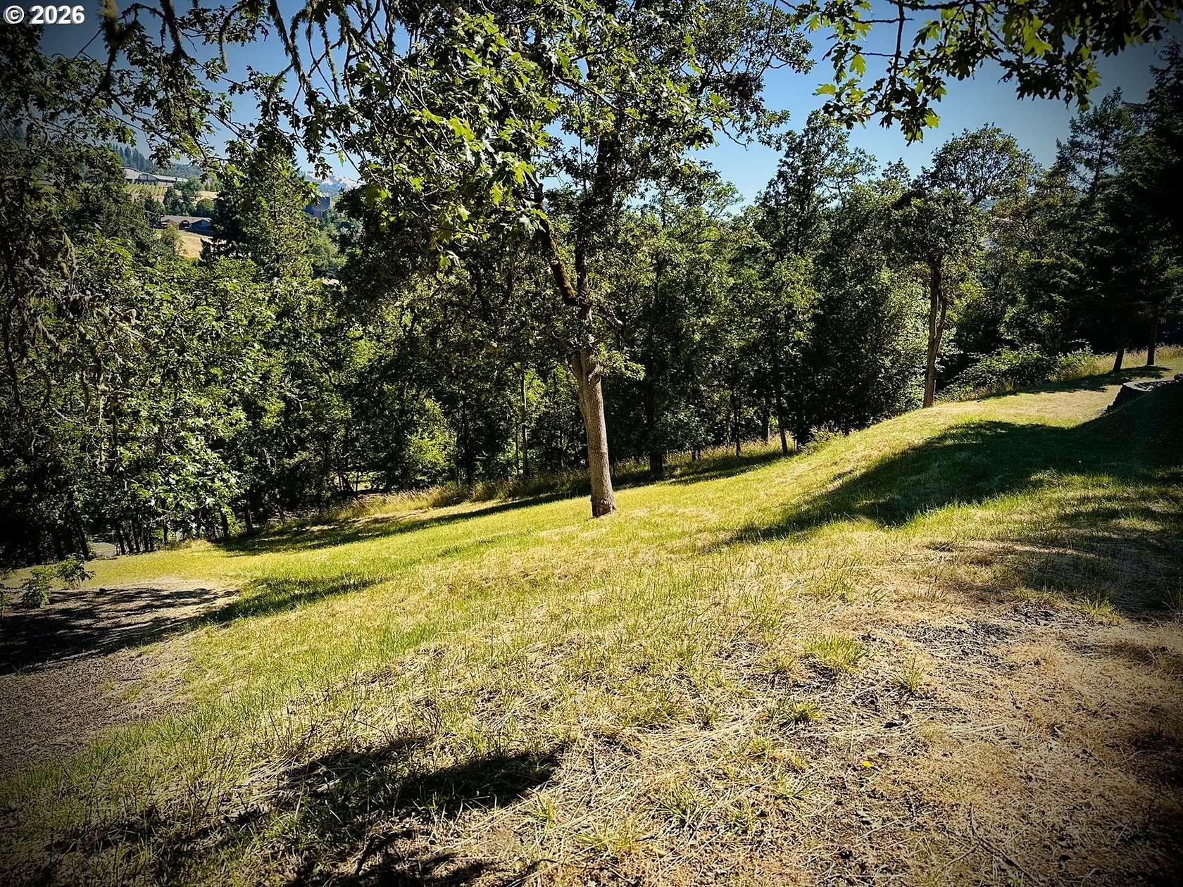 0.32 Acres of Residential Land for Sale in Winchester, Oregon