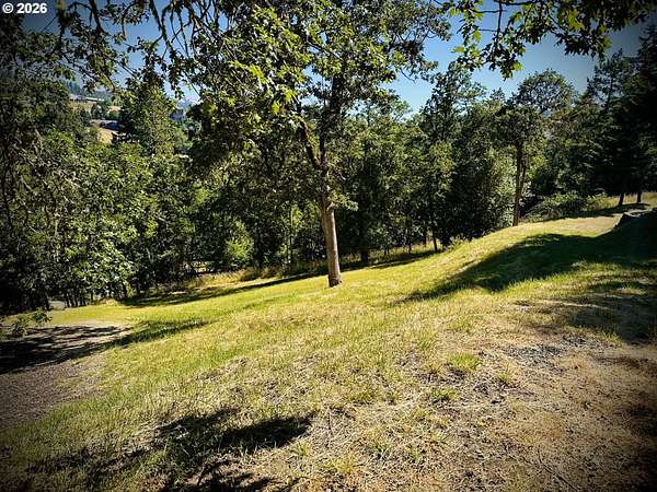 0.32 Acres of Residential Land for Sale in Winchester, Oregon