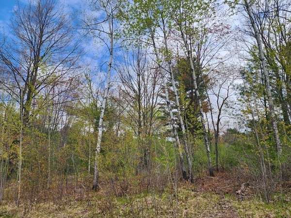 0.34 Acres of Residential Land for Sale in Wausau, Wisconsin