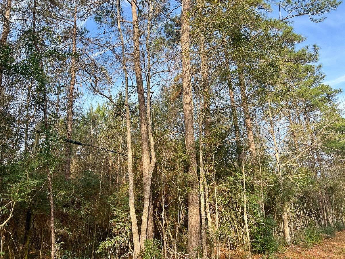 156 Acres of Recreational Land for Sale in Saratoga, Texas