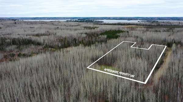 2.5 Acres of Land for Sale in Tower, Minnesota