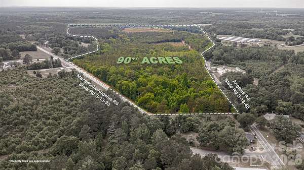 90 Acres of Recreational & Residential Land for Sale in Jefferson, South Carolina