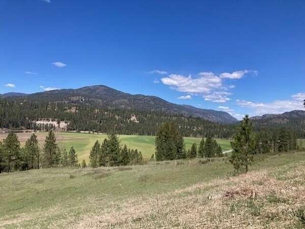 45.7 Acres of Agricultural & Residential Land for Sale in Kettle Falls, Washington