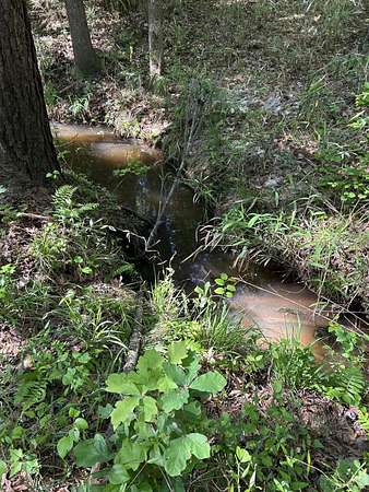 7.68 Acres of Residential Land for Sale in Dalzell, South Carolina