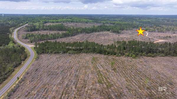 11.3 Acres of Land for Sale in Loxley, Alabama