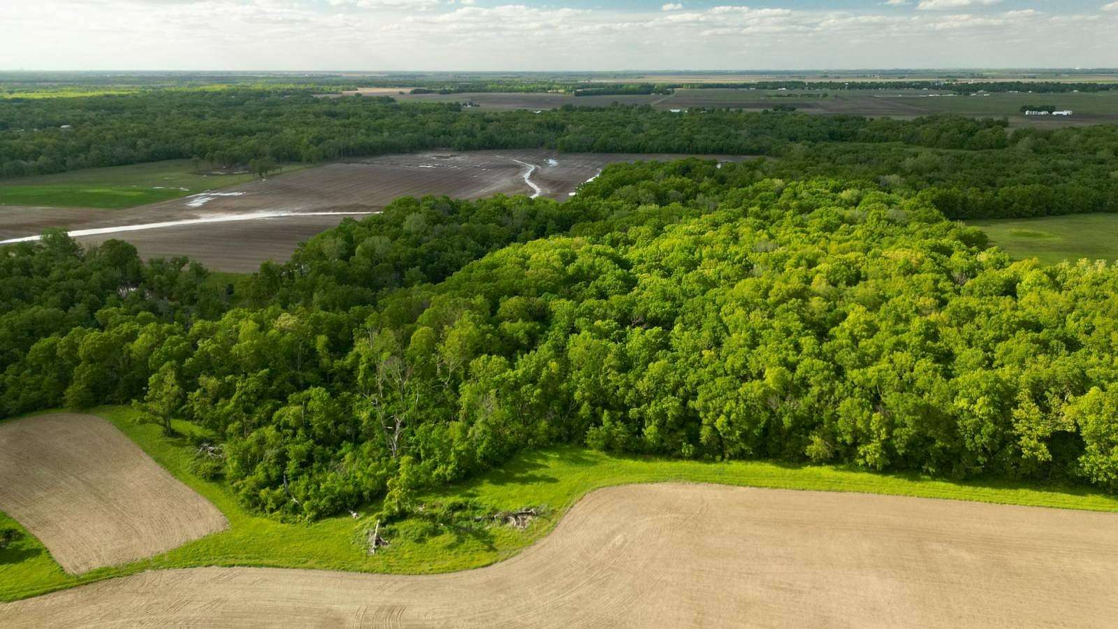 40 Acres of Recreational Land for Sale in Taylorville, Illinois