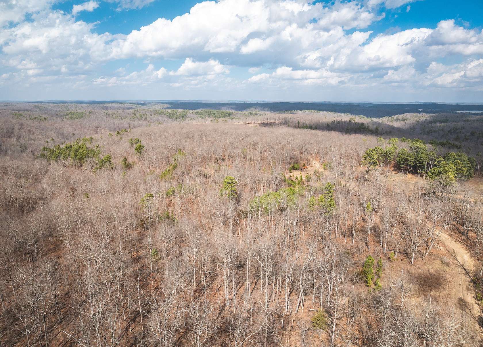 80 Acres of Recreational & Residential Land for Sale in Bunker, Missouri