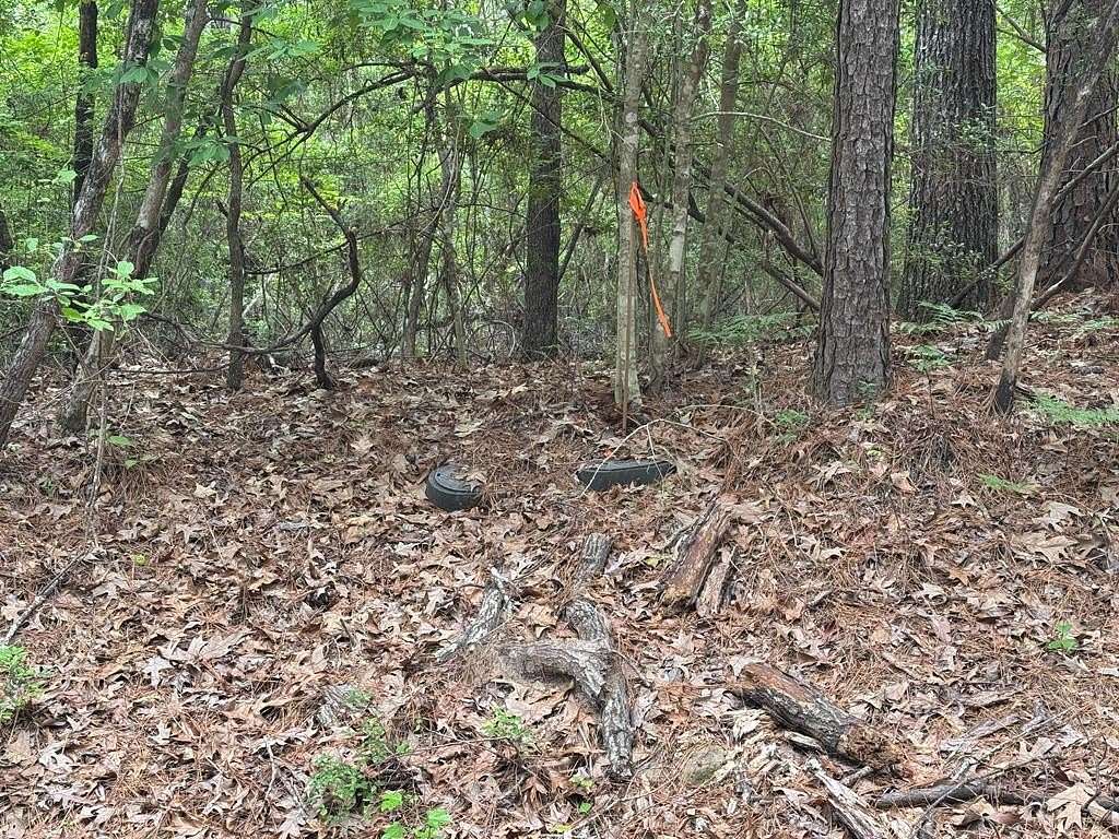 0.46 Acres of Residential Land for Sale in Brookeland, Texas