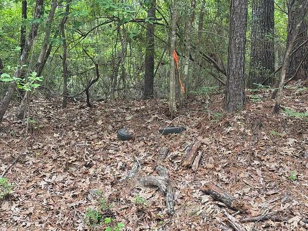 0.46 Acres of Residential Land for Sale in Brookeland, Texas