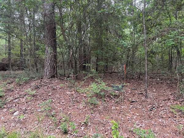 0.48 Acres of Residential Land for Sale in Brookeland, Texas