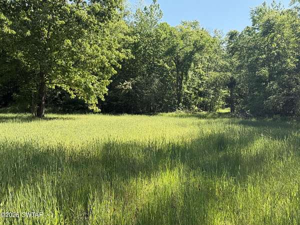 Land for Sale in Pocahontas, Tennessee