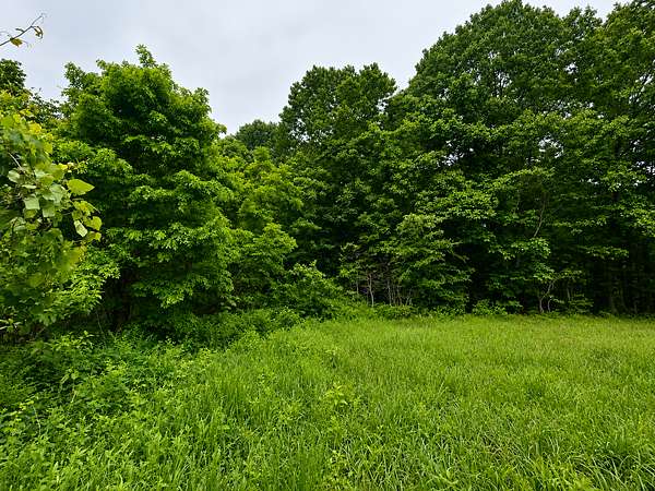 5.1 Acres of Land for Sale in Squires, Missouri