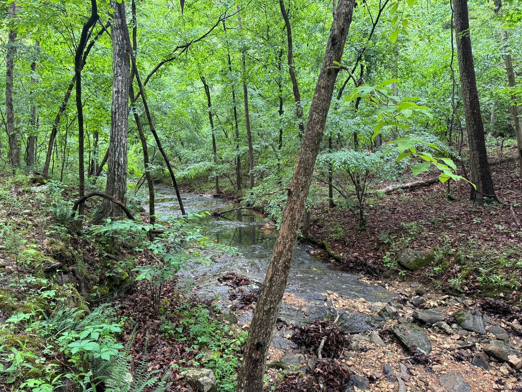 160 Acres of Land for Sale in Melbourne, Arkansas
