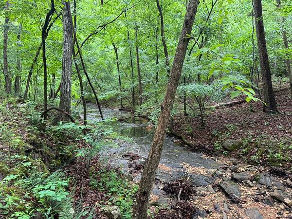 160 Acres of Land for Sale in Melbourne, Arkansas