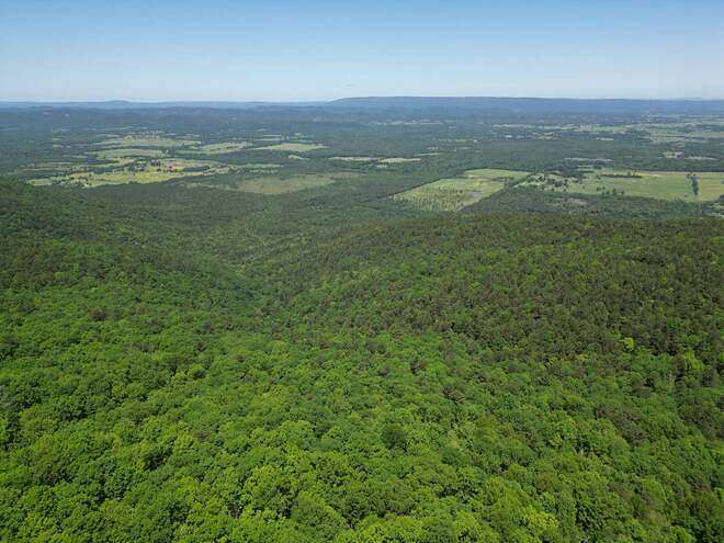38 Acres of Land for Sale in Albion, Oklahoma