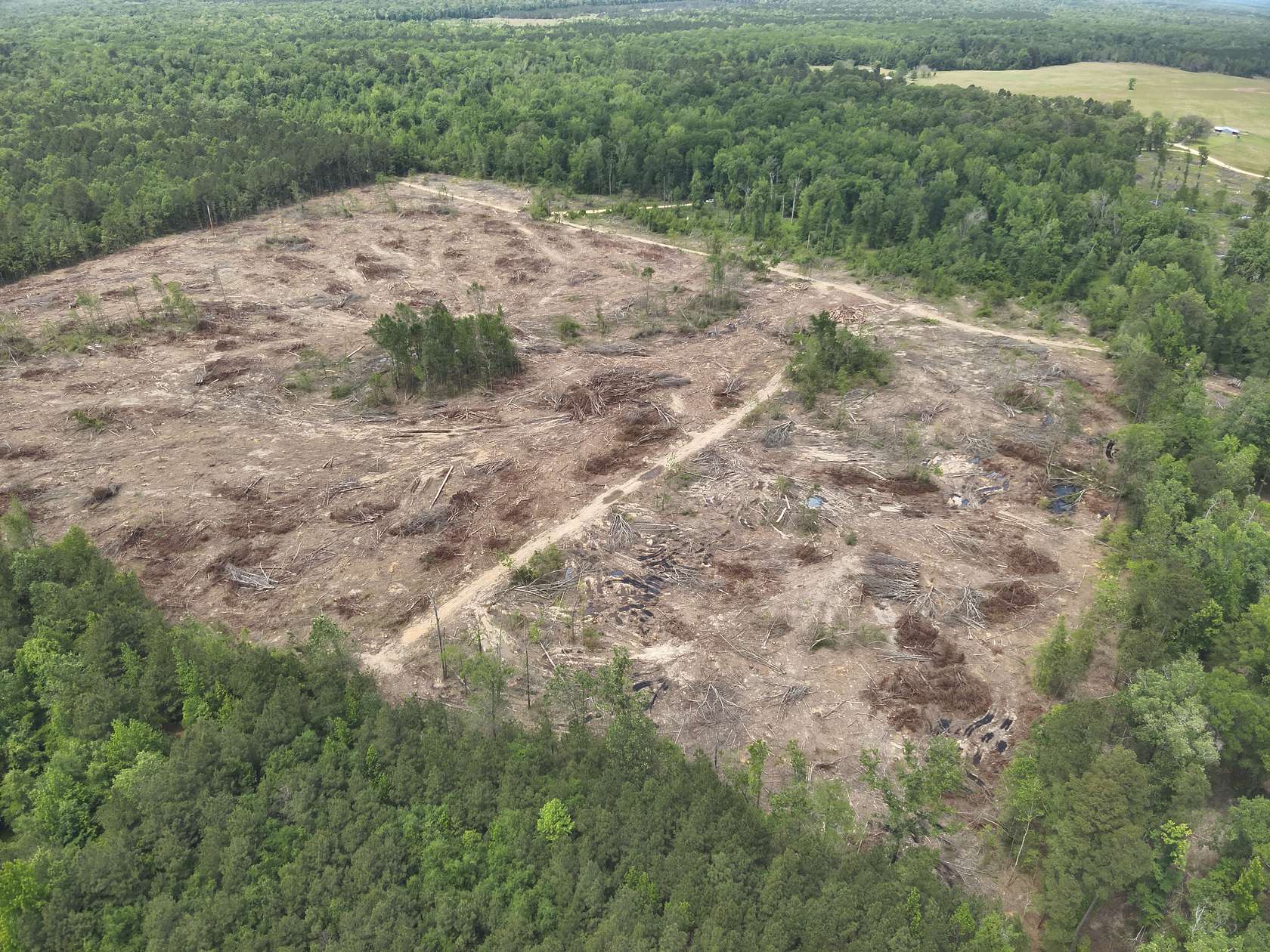 40 Acres of Land for Sale in Locust Bayou, Arkansas