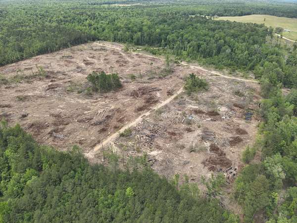 40 Acres of Land for Sale in Locust Bayou, Arkansas