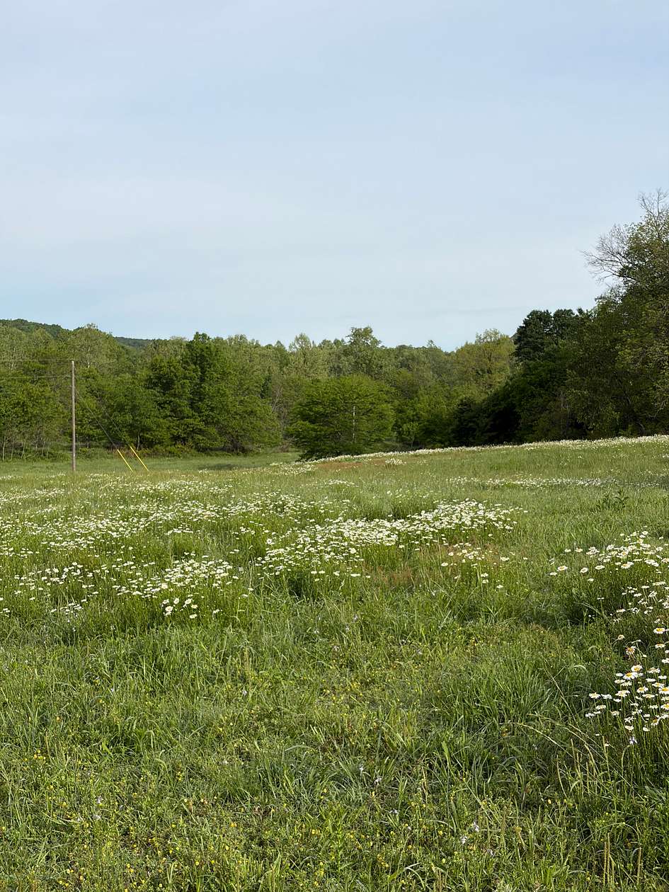 10 Acres of Land for Auction in Jay, Oklahoma