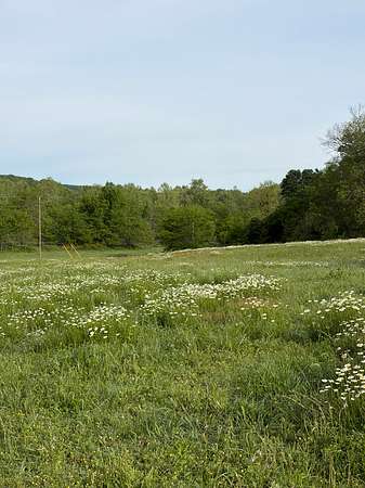 10 Acres of Land for Auction in Jay, Oklahoma
