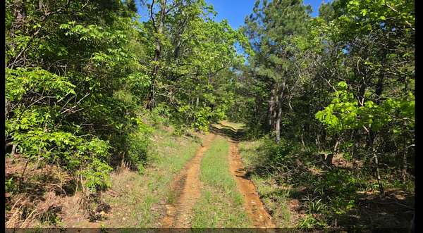 40 Acres of Land for Sale in Albion, Oklahoma
