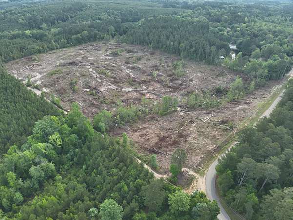 20 Acres of Land for Sale in Chidester, Arkansas