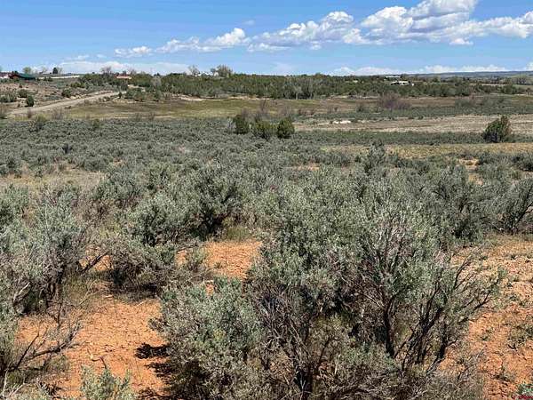 10 Acres of Agricultural Land for Sale in Cortez, Colorado