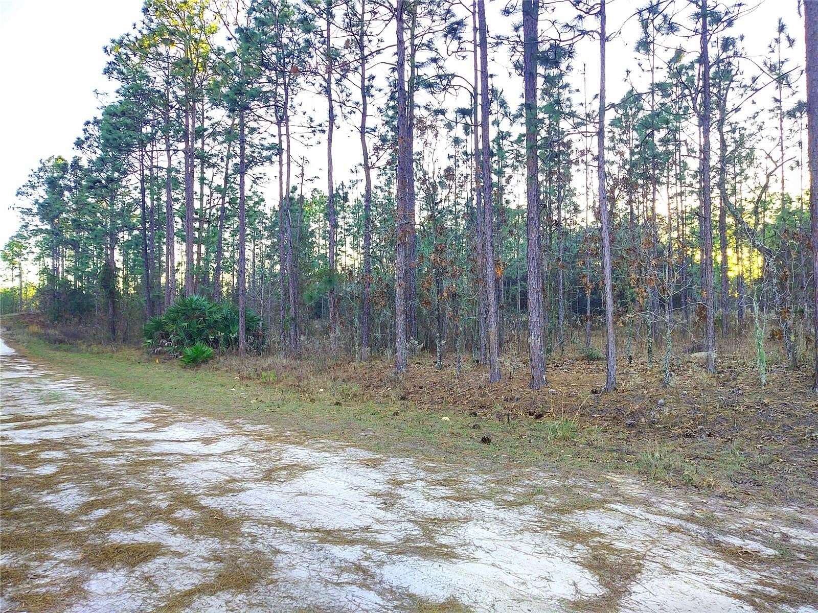2.55 Acres of Residential Land for Sale in Ocala, Florida