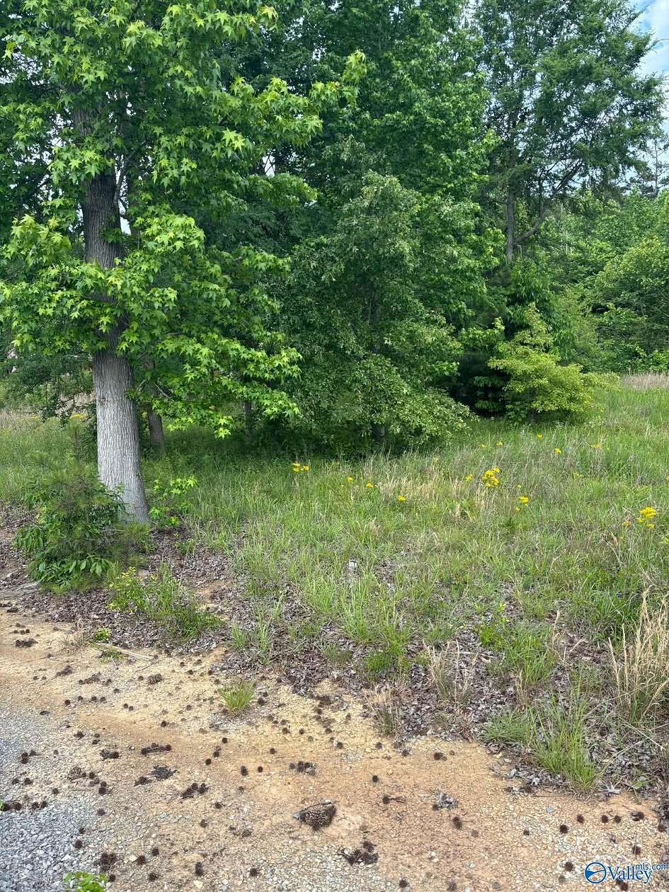 0.48 Acres of Land for Sale in Guntersville, Alabama
