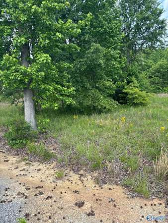 0.48 Acres of Land for Sale in Guntersville, Alabama