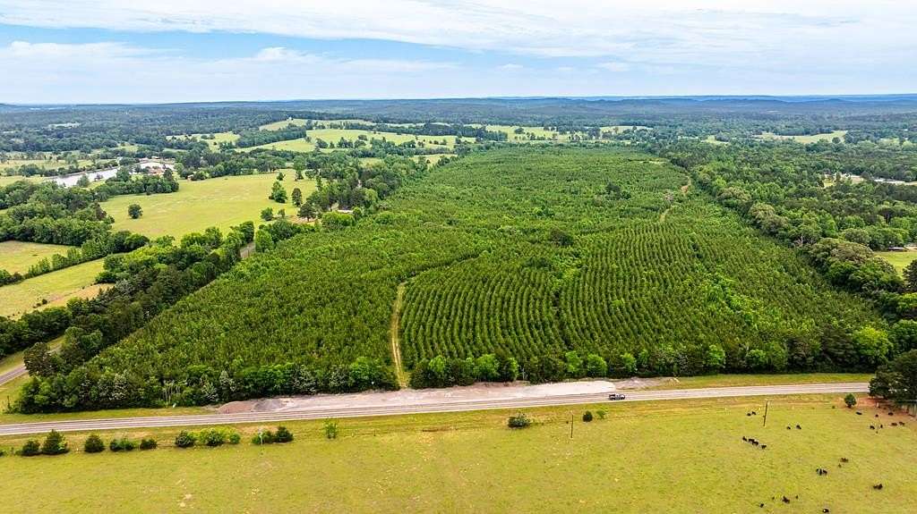 185 Acres of Recreational & Residential Land for Sale in Palestine, Texas