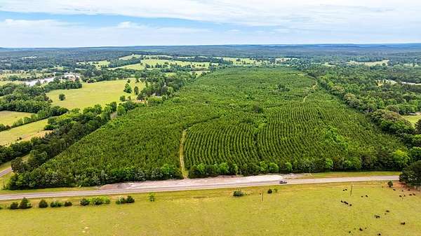 185 Acres of Recreational & Residential Land for Sale in Palestine, Texas