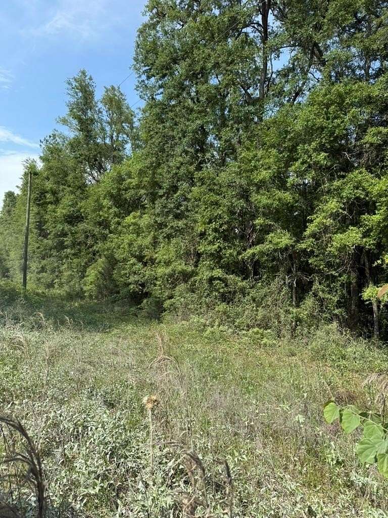 4 Acres of Residential Land for Sale in Lake City, Florida