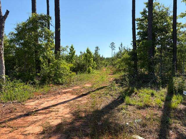 2.6 Acres of Residential Land for Sale in Andalusia, Alabama