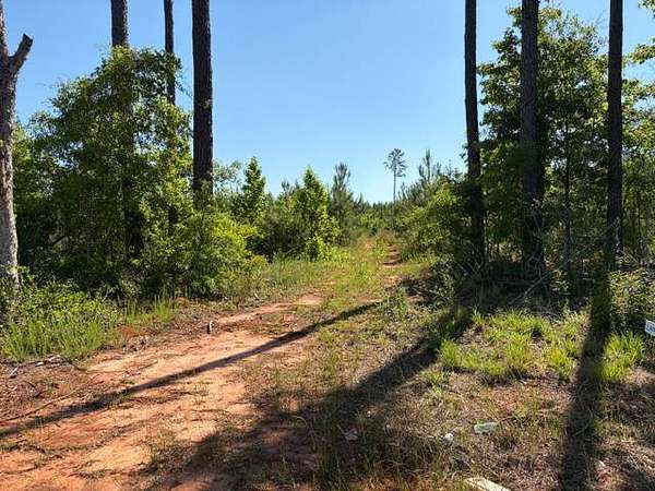 2.6 Acres of Residential Land for Sale in Andalusia, Alabama