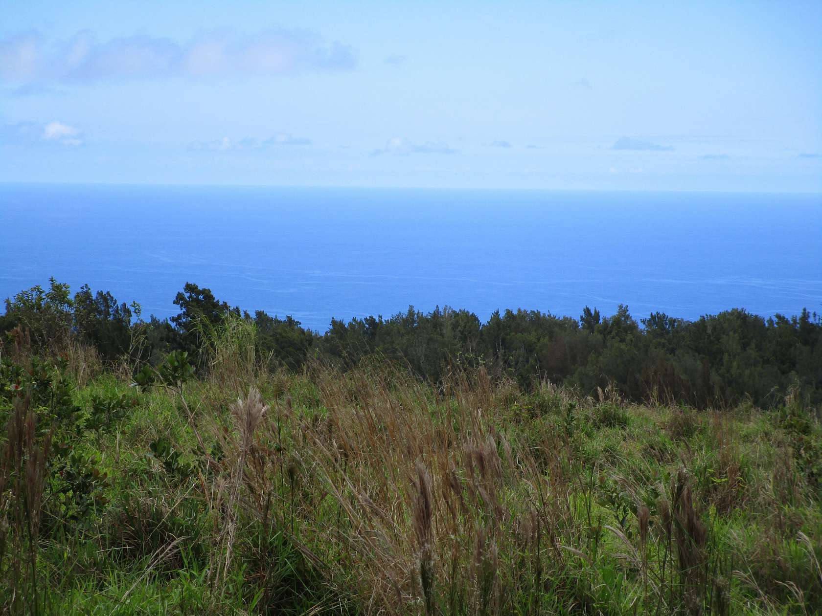 13.3 Acres of Land for Sale in Laupahoehoe, Hawaii