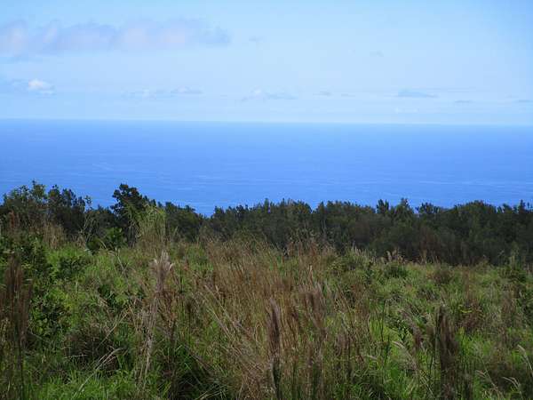 13.3 Acres of Land for Sale in Laupahoehoe, Hawaii