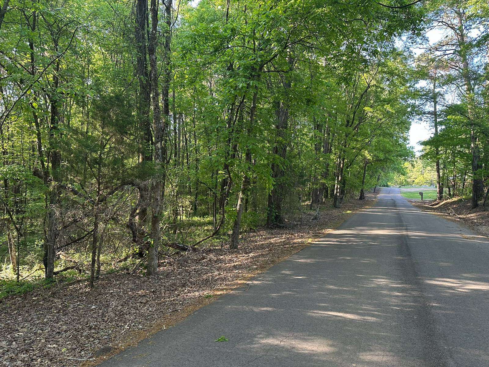 30 Acres of Recreational & Residential Land for Sale in Calhoun City, Mississippi