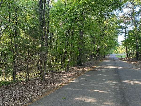 30 Acres of Recreational & Residential Land for Sale in Calhoun City, Mississippi