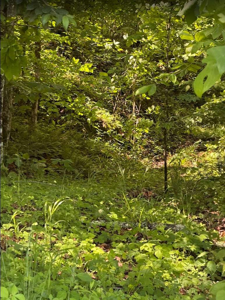 6.88 Acres of Residential Land for Sale in Cookeville, Tennessee